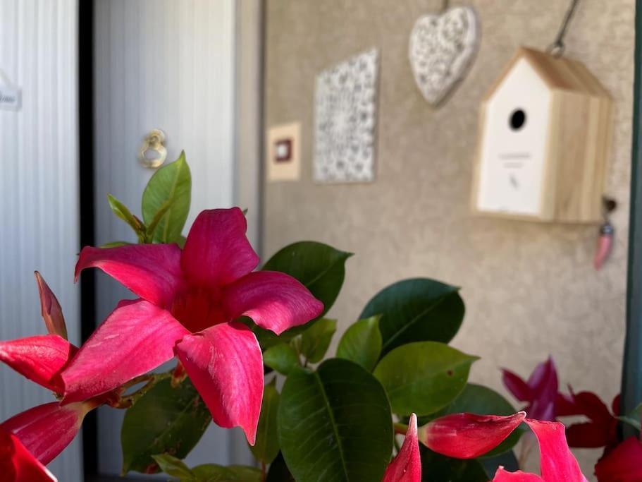 Ferienhaus Annali - Shabby Style Nella Natura La Spezia