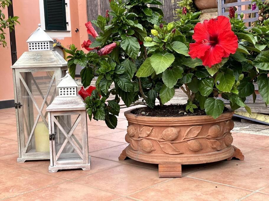 Ferienhaus Annali - Shabby Style Nella Natura